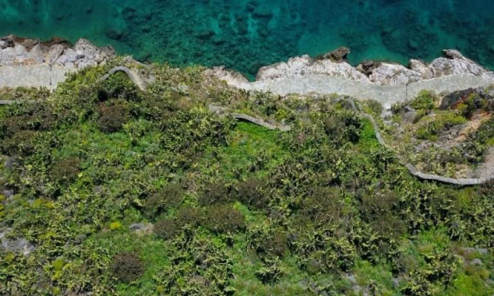 Σε τροχιά οριστικής ολοκλήρωσης μπαίνει η διαδικασία ανάρτησης των δασικών χαρτών